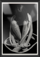 /album/dibujo/cartelweb4-png/